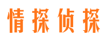 孝感市婚外情调查